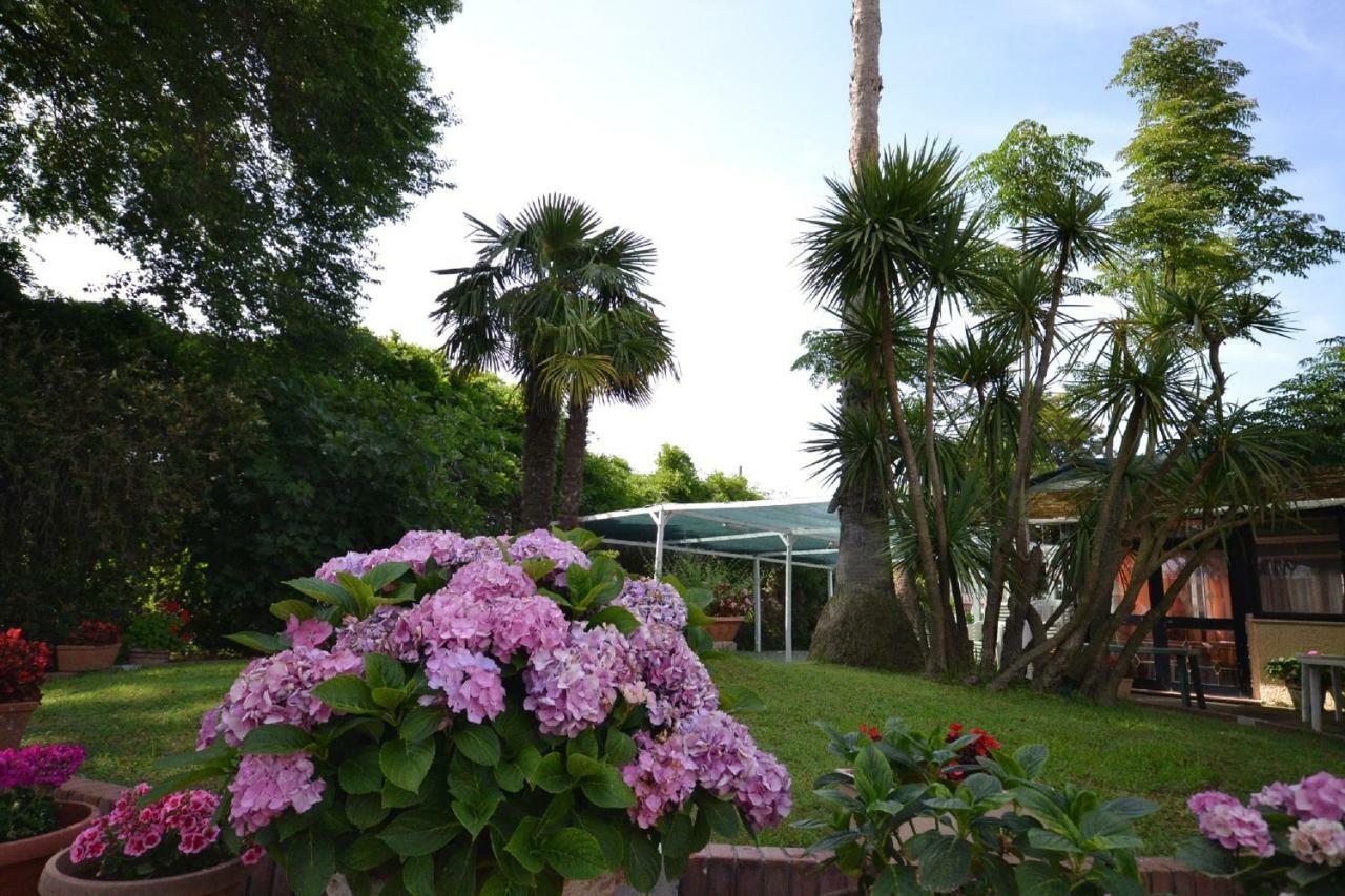 Bed and Breakfast Il Piccolo Nido à Borgo Montenero Extérieur photo